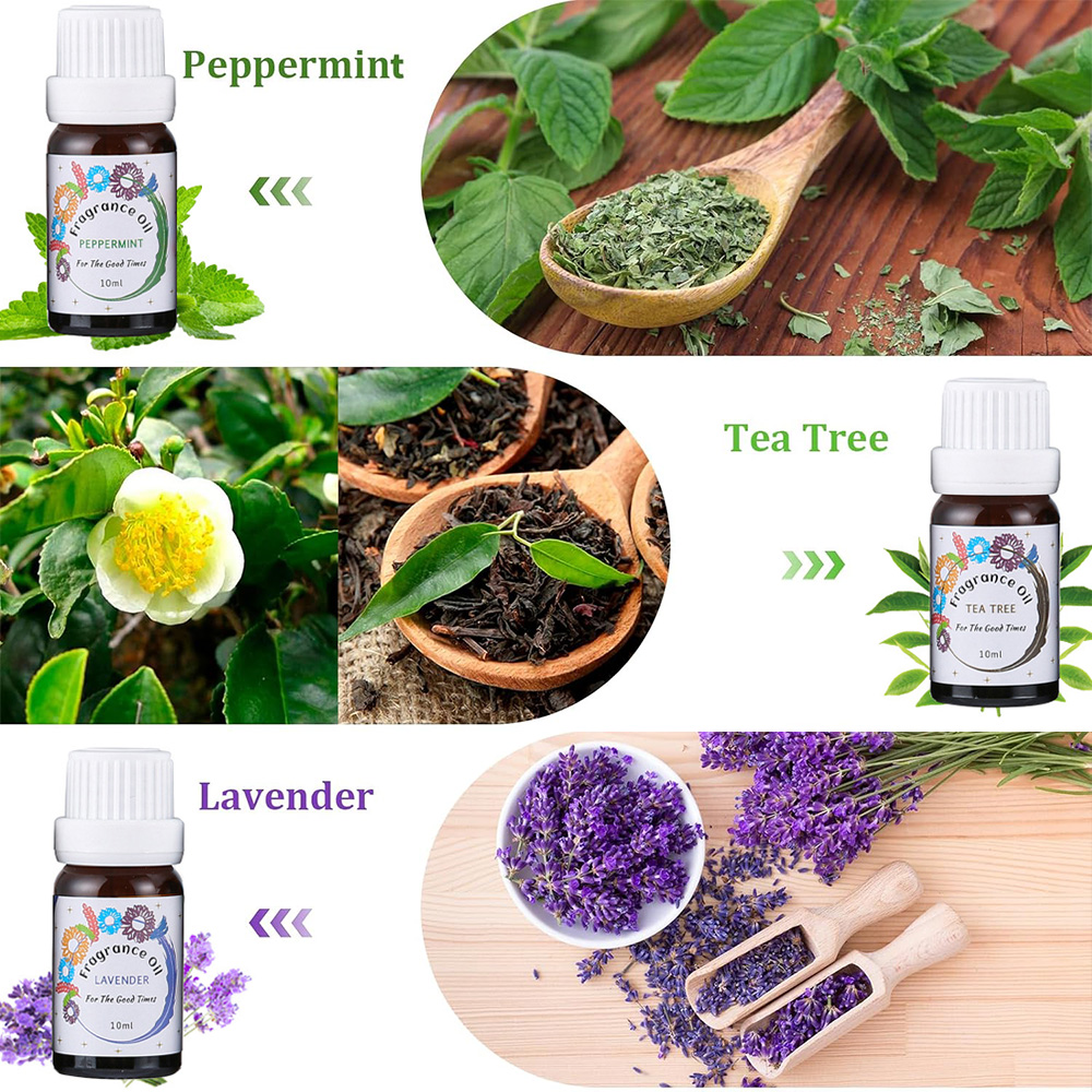 Minyak Esensial untuk Diffuser - Home Fragrance Lemongrass ulasan dan harga