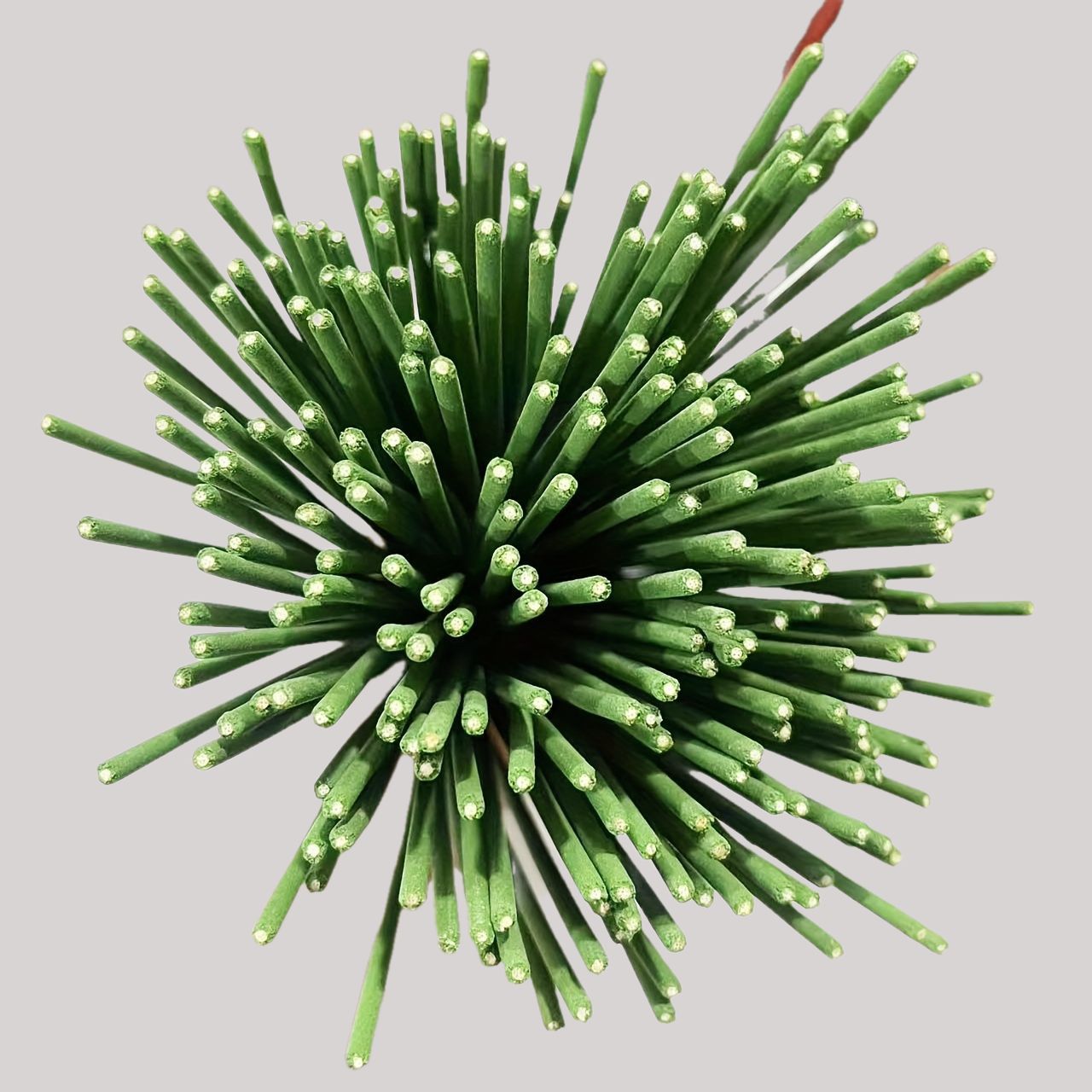 Stik Reed Diffuser Aroma Serai - Home Fragrance Lemongrass ulasan dan harga